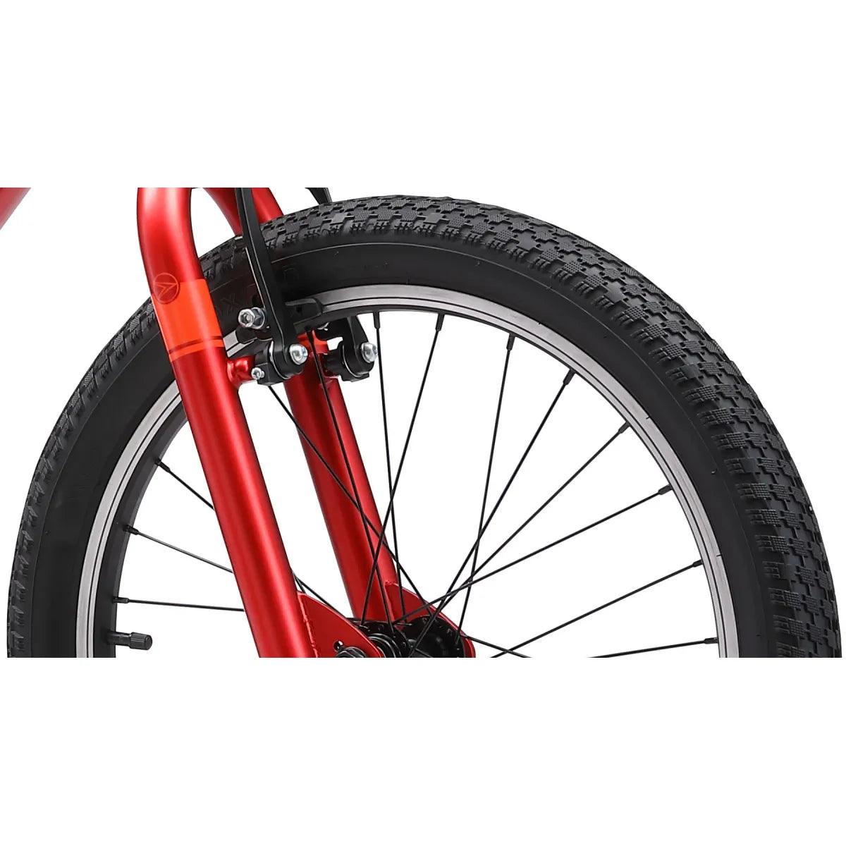 SKID 20 Inch Kids Mountain Bike