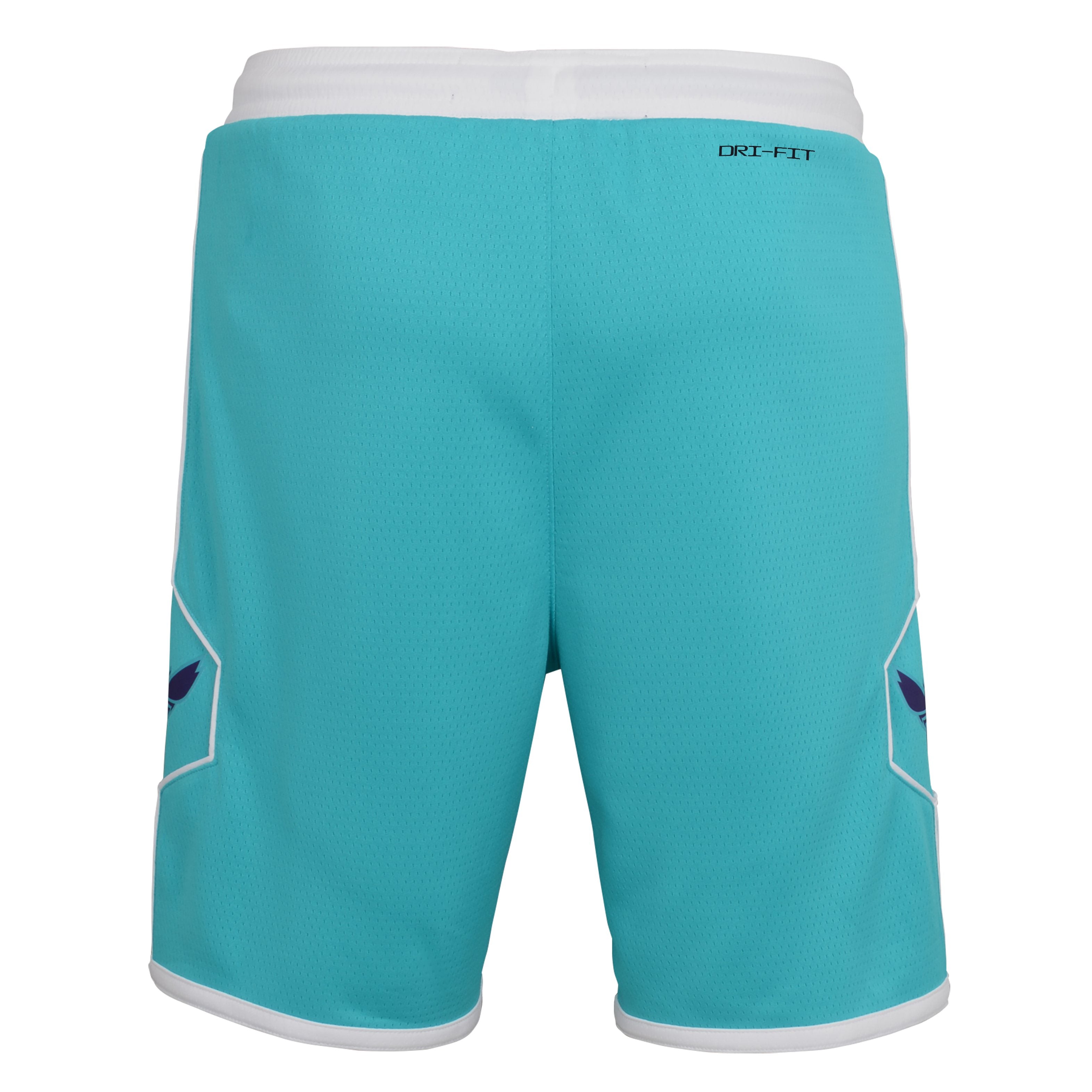 Boys Charlotte Hornets Icon Swingman Replica Shorts