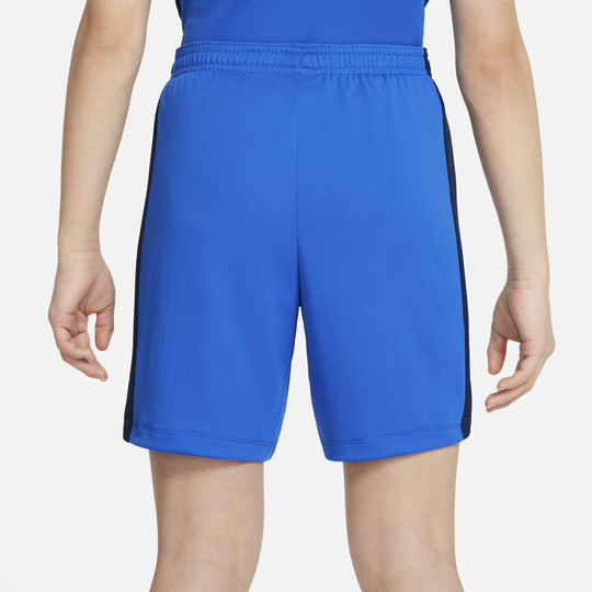 Boys Performance Dri-Fit Shorts