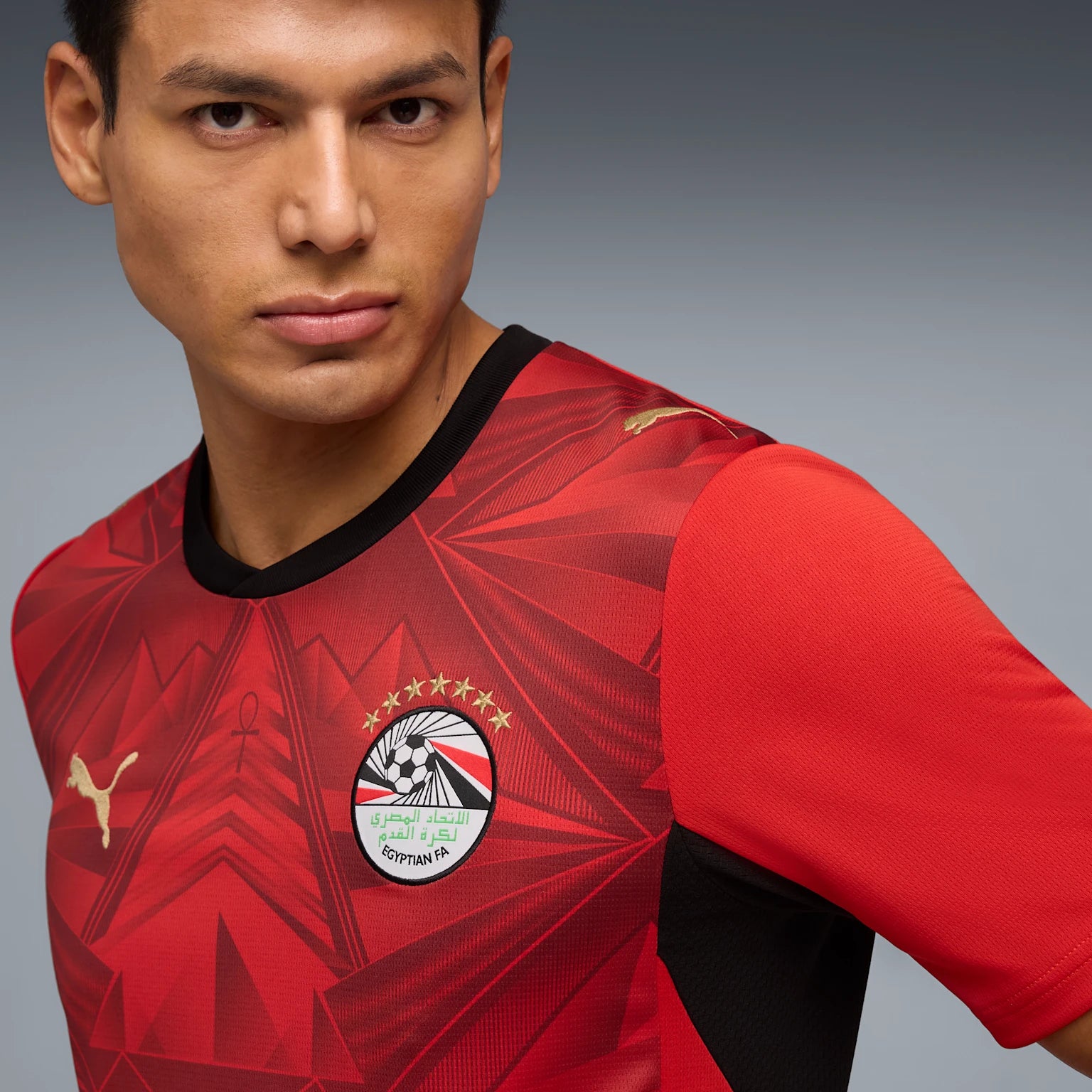 Mens Egypt EFA Home 25/26 Replica Jersey