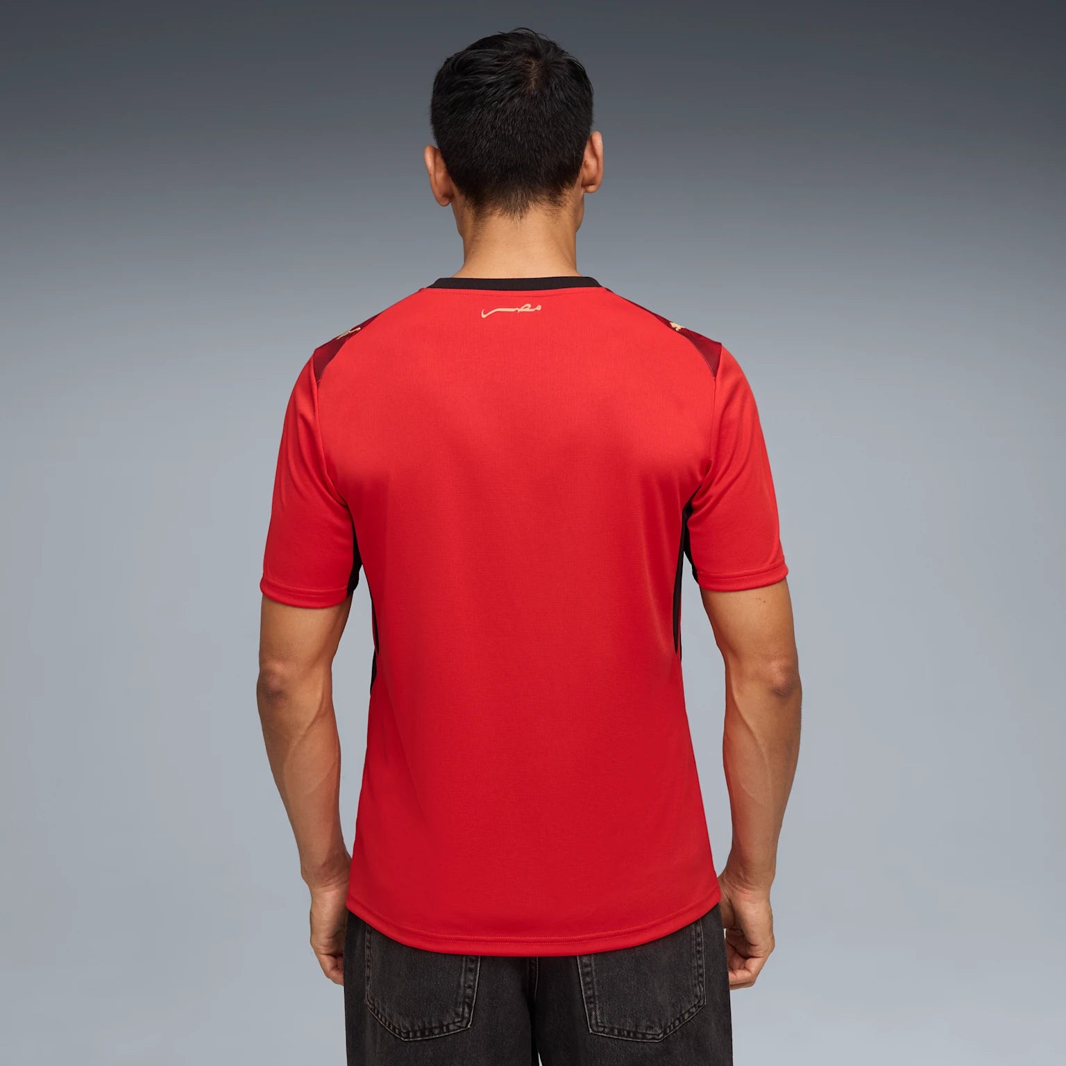 Mens Egypt EFA Home 25/26 Replica Jersey