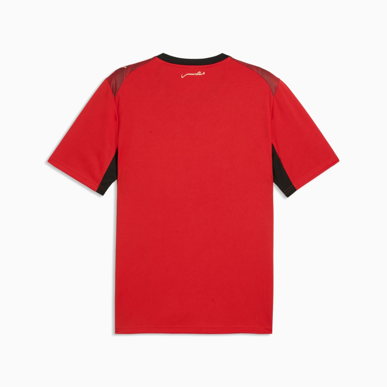 Mens Egypt EFA Home 25/26 Replica Jersey