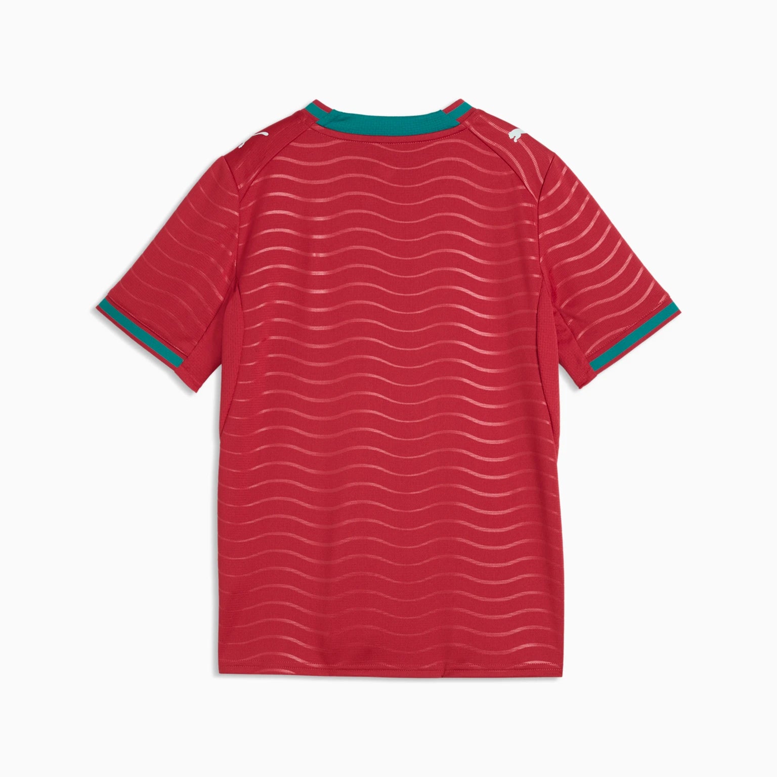 Junior Portugal FPF Home 25/26 Replica Jersey