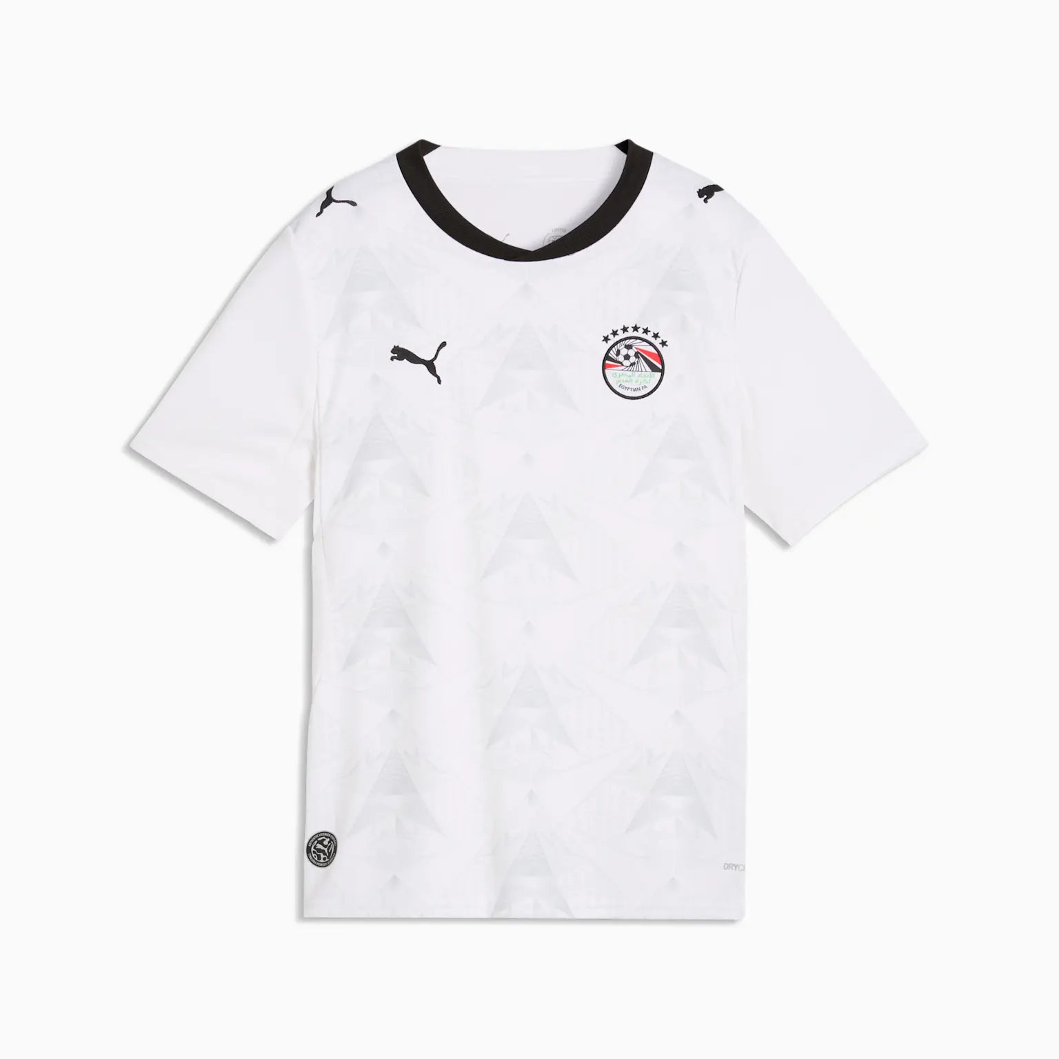 Junior Egypt EFA Away 25/26 Replica Jersey