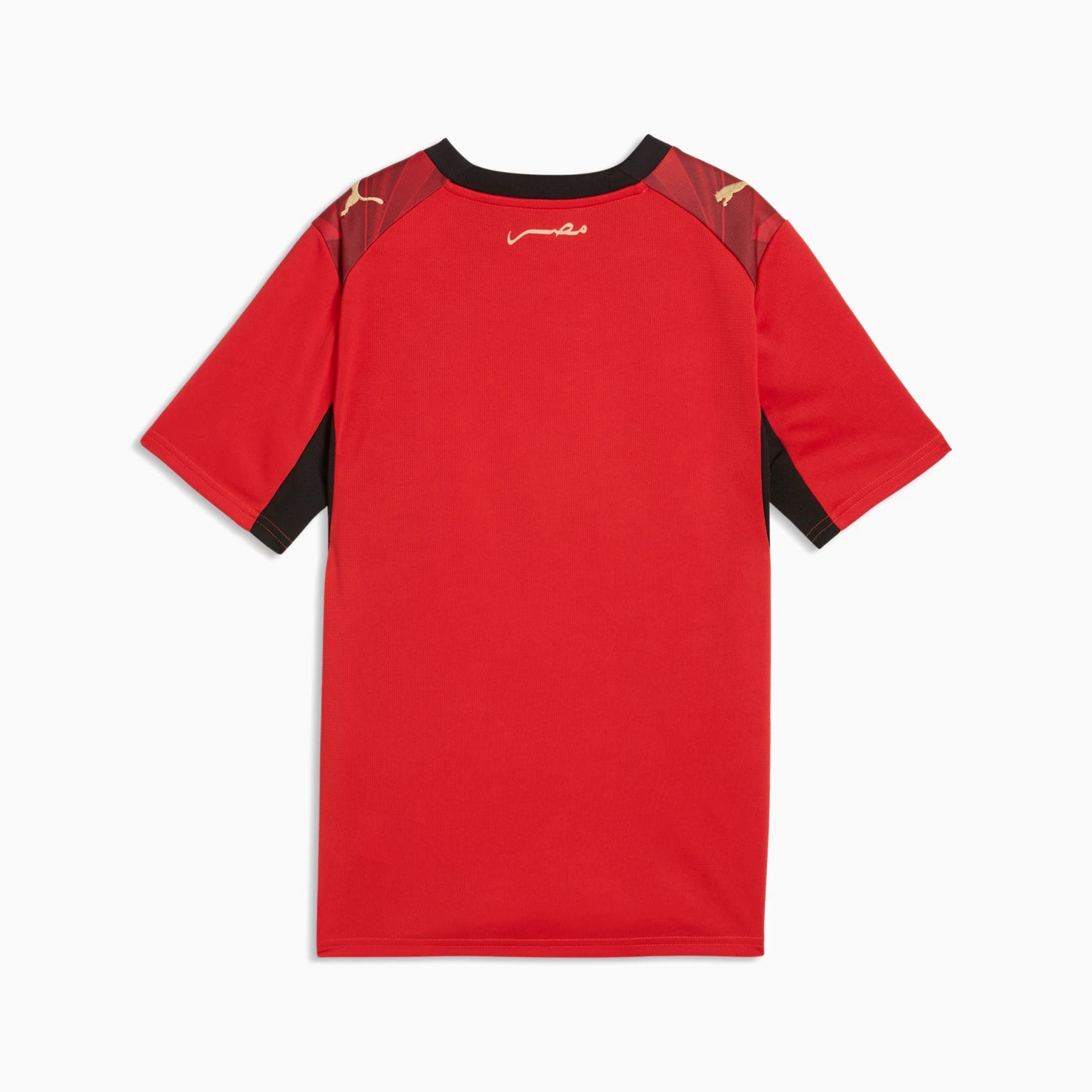 Junior Egypt EFA Home 25/26 Replica Jersey