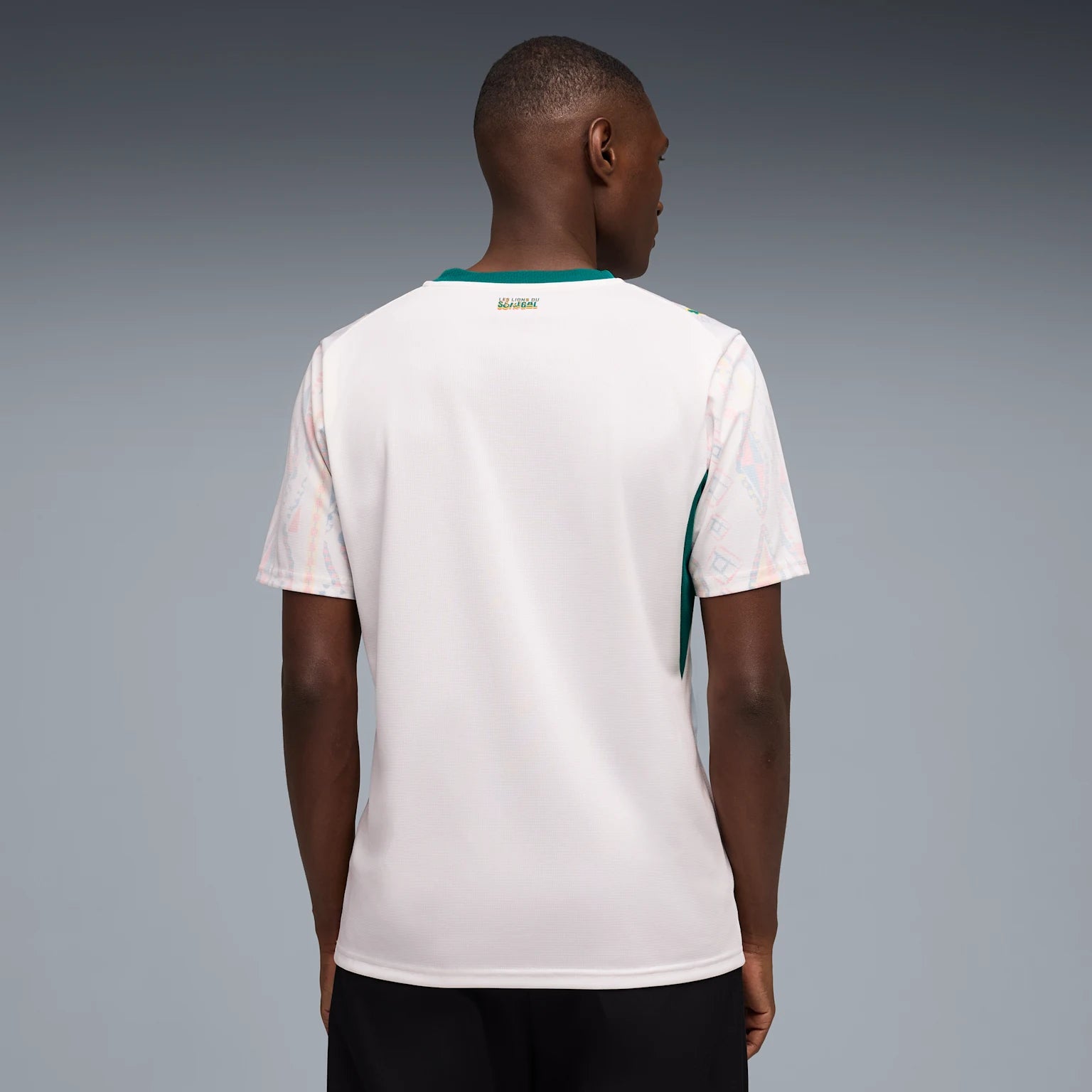 Mens Senegal FSF Home 25/26 Replica Jersey
