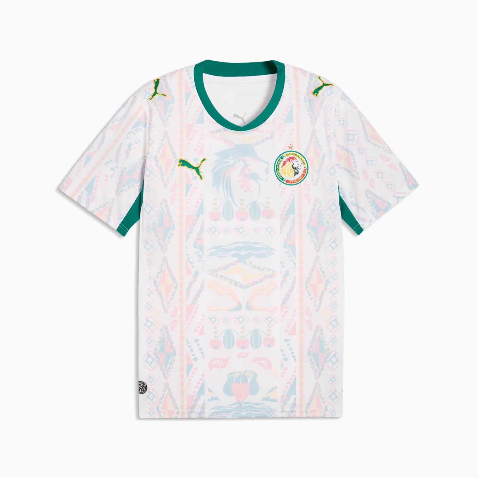 Mens Senegal FSF Home 25/26 Replica Jersey
