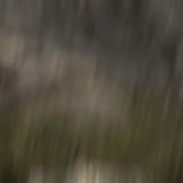 Mens Terrex Agravic 3 Trail Running Shoe