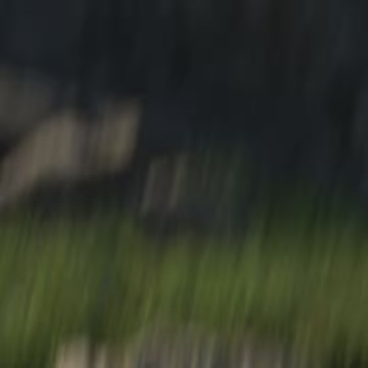 Mens Terrex Agravic 3 Trail Running Shoe