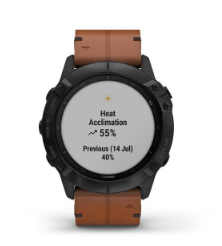Fenix 6X Sapphire Black with Brown Leather Band