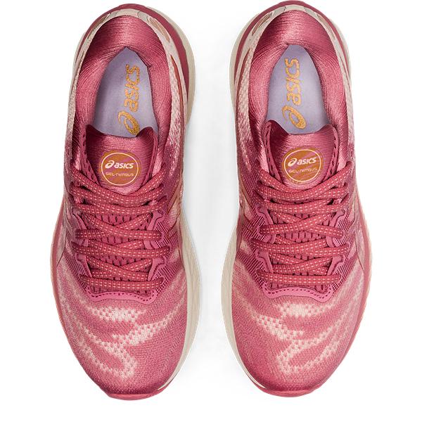 Womens Gel-Nimbus 23 Running Shoe