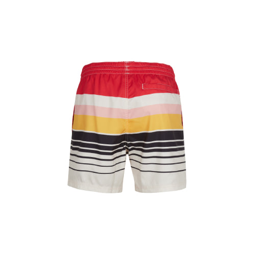 Mens Horizon Water Shorts