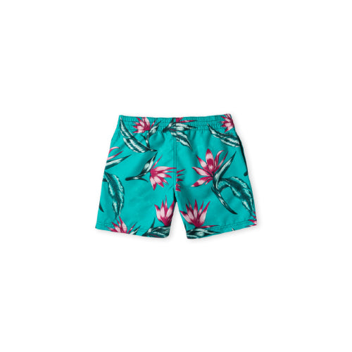 Boys Printed Water Shorts