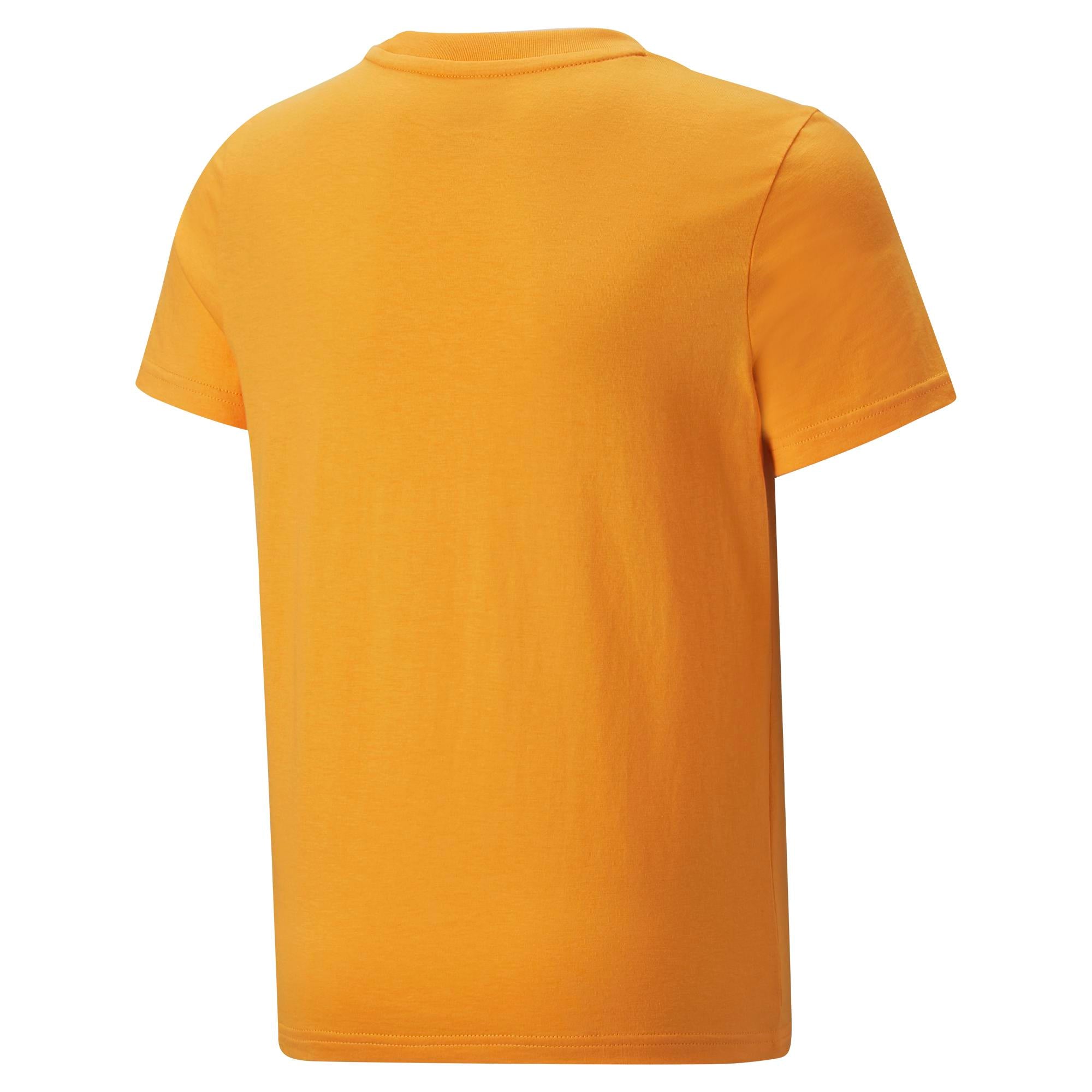 Boys Graphic Short Sleeve T-Shirt