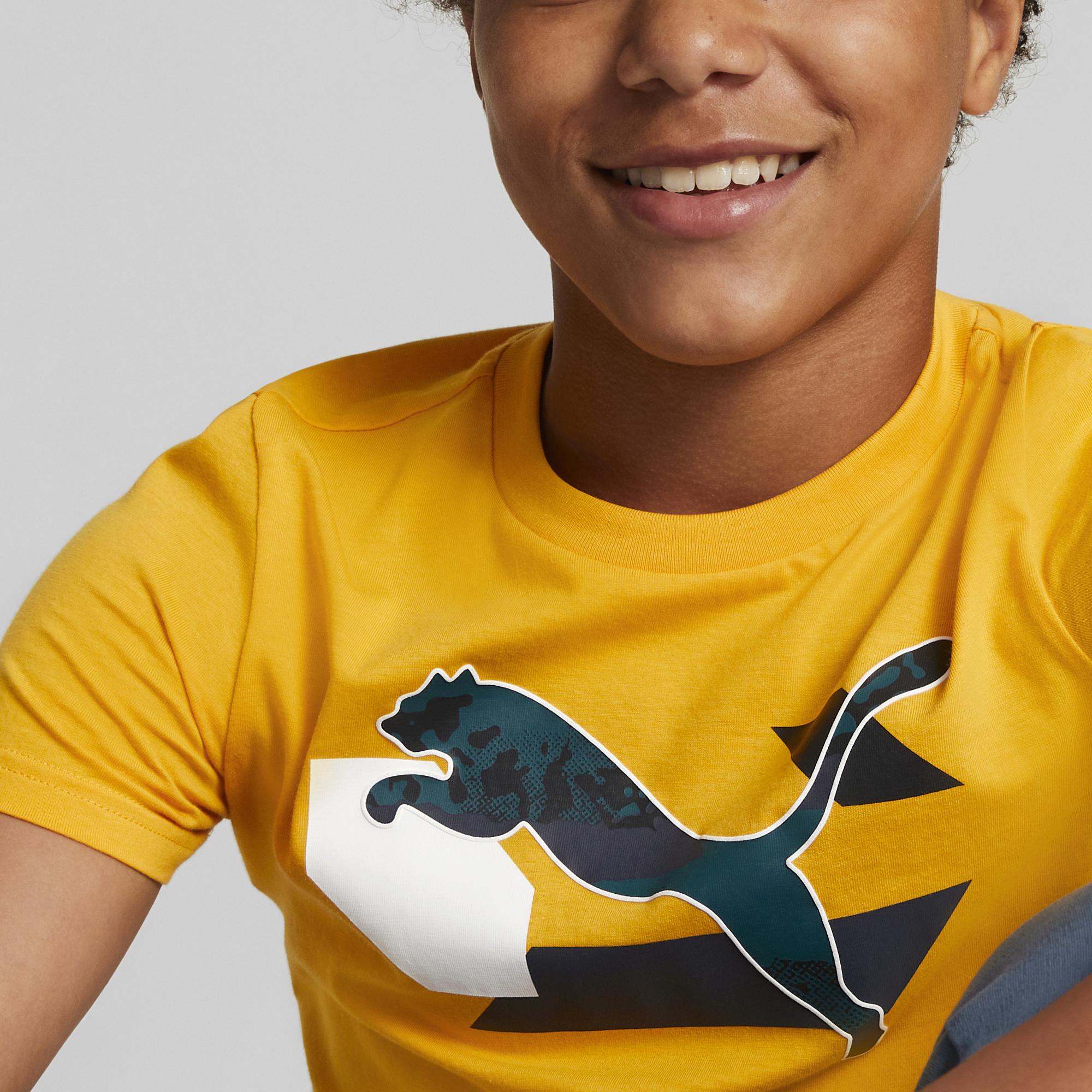 Boys Graphic Short Sleeve T-Shirt
