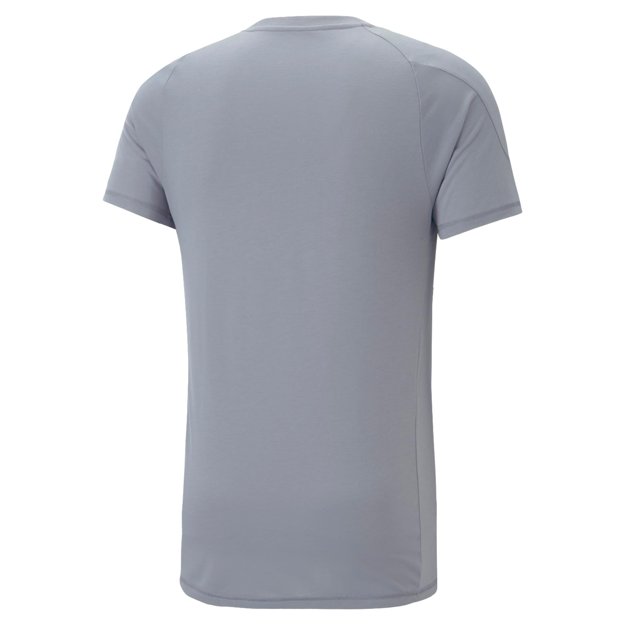 Mens Evostripe Short Sleeve T-Shirt