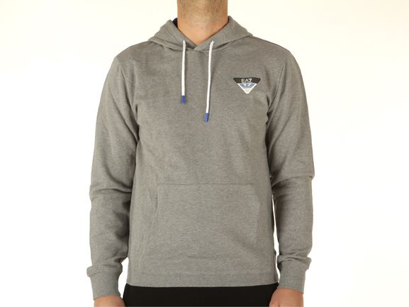 Mens Graphic Series Eagle Pullover Hoodie