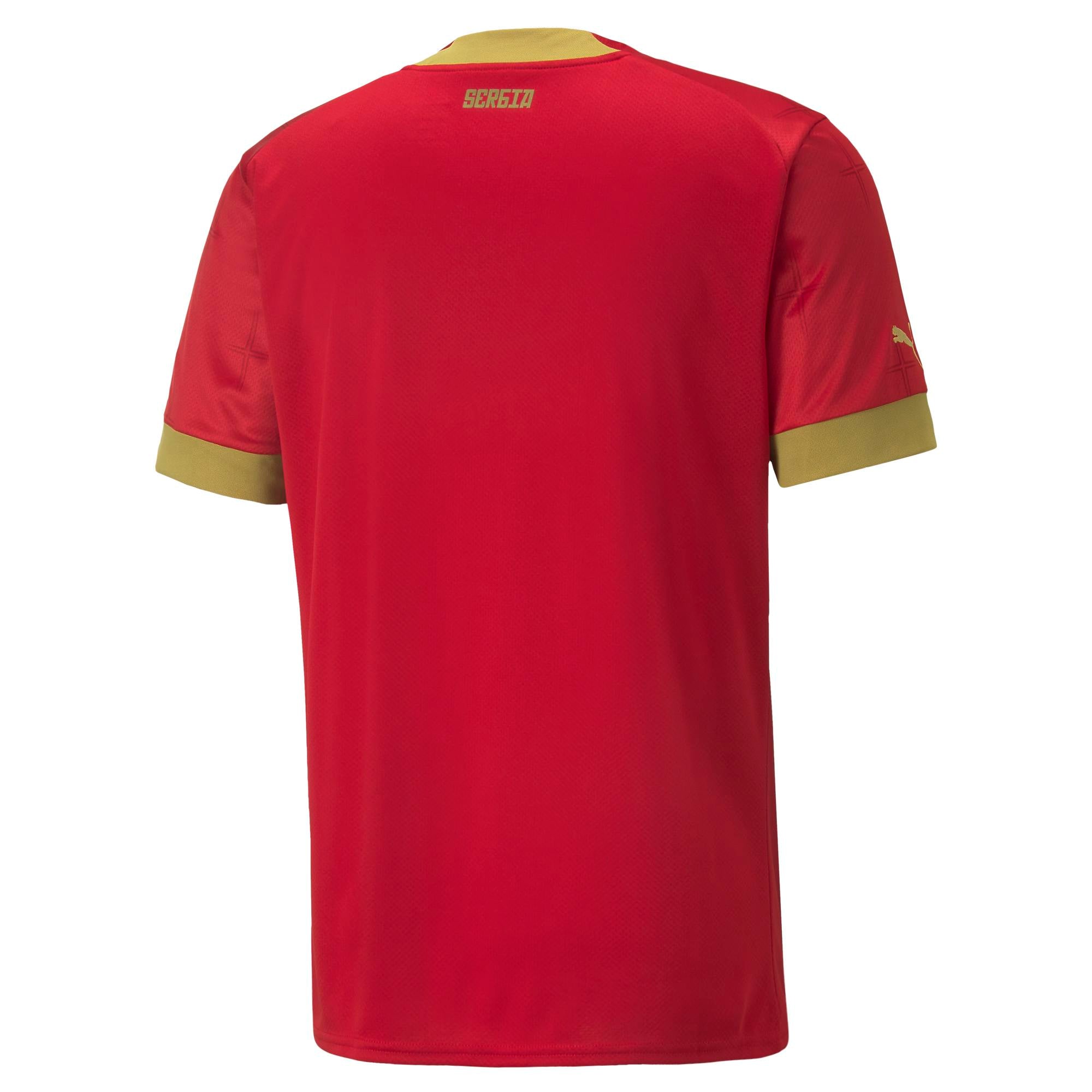 Mens Serbia World Cup 2022 Home Replica Jersey
