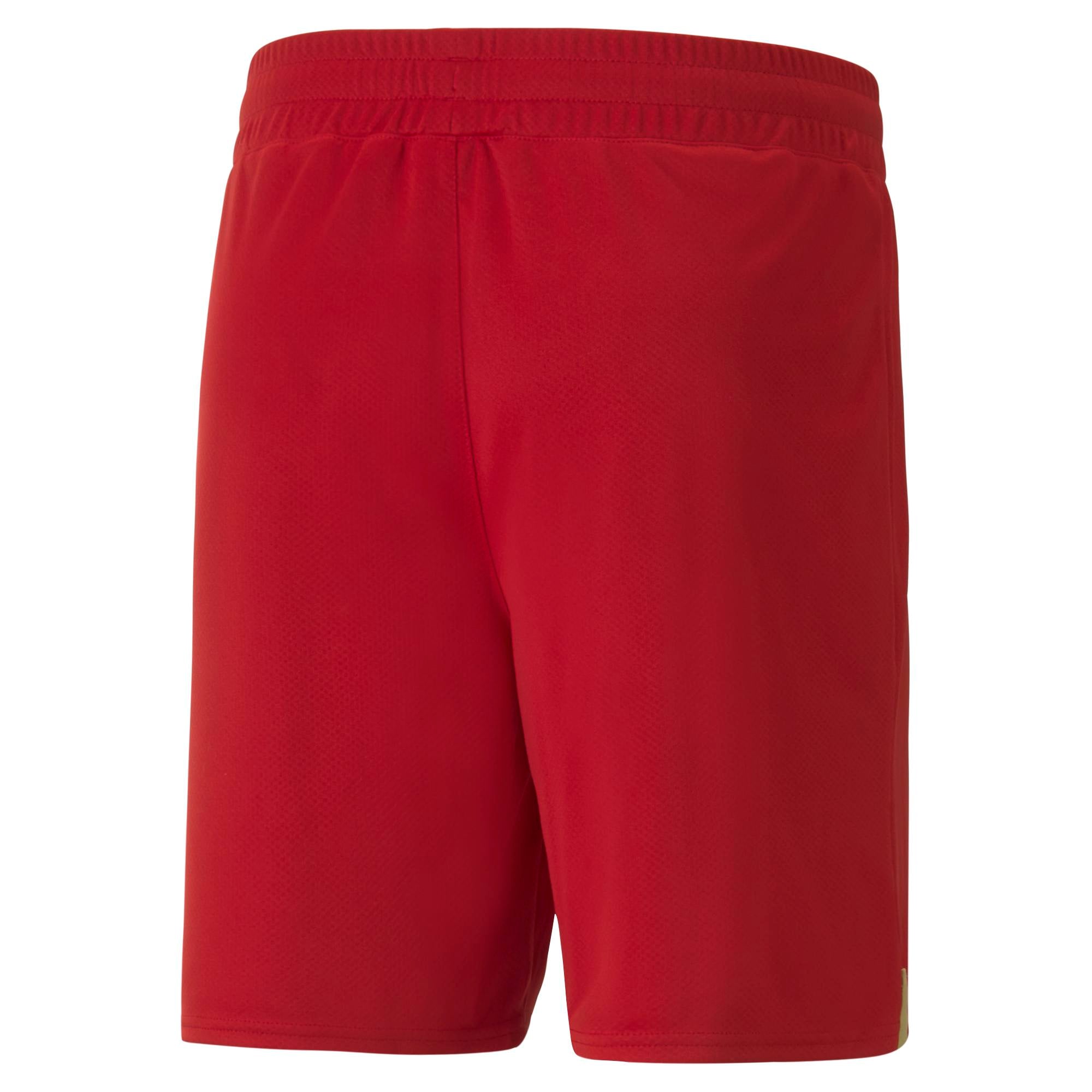 Mens Serbia World Cup 2022 Home Replica Short