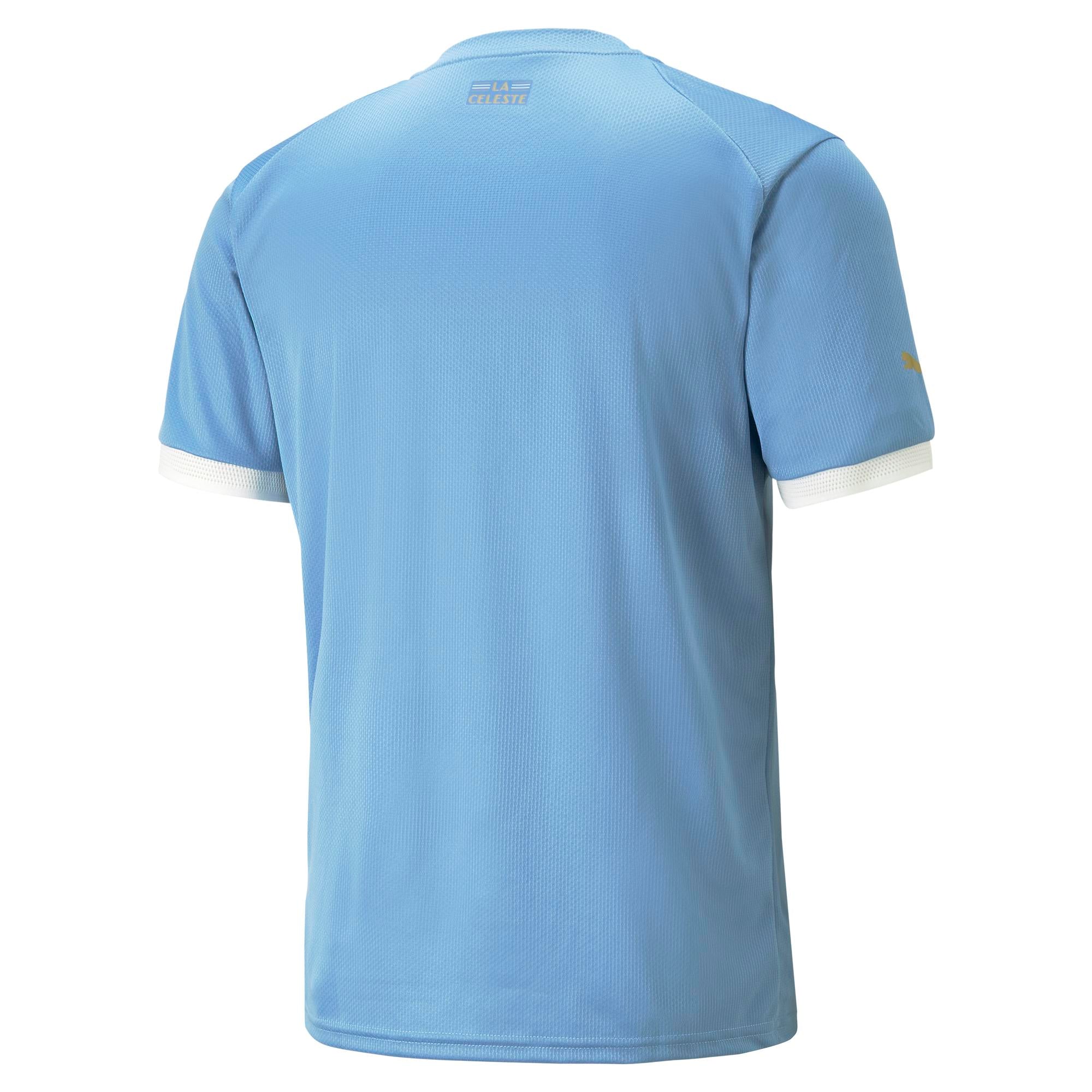 Mens Uruguay World Cup 2022 Home Replica Jersey