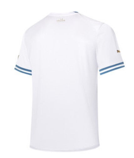 Mens Uruguay World Cup 2022 Away Replica Jersey