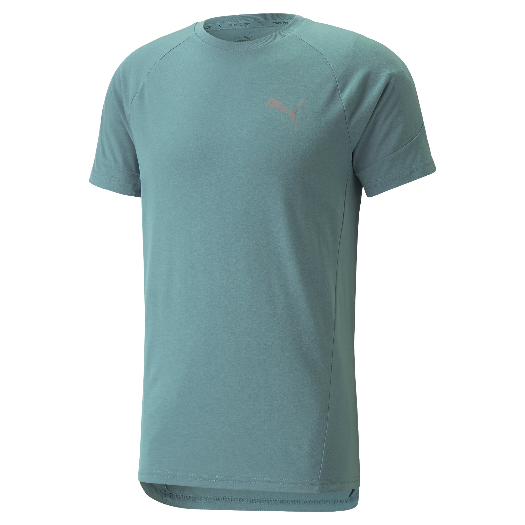 Mens Evostripe Short Sleeve T-Shirt