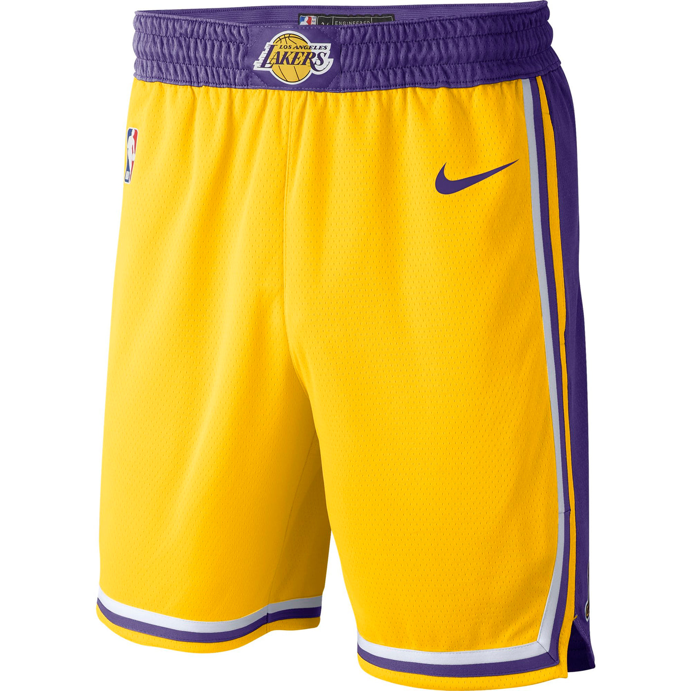 LeBron James Los Angeles Lakers Youth Pandemonium Name & Number Shorts -  Black
