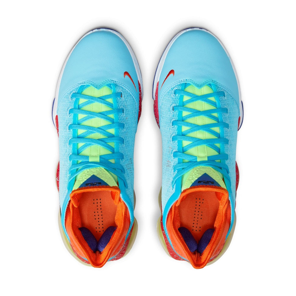 Mens Nike Lebron Xix Low Seasonal