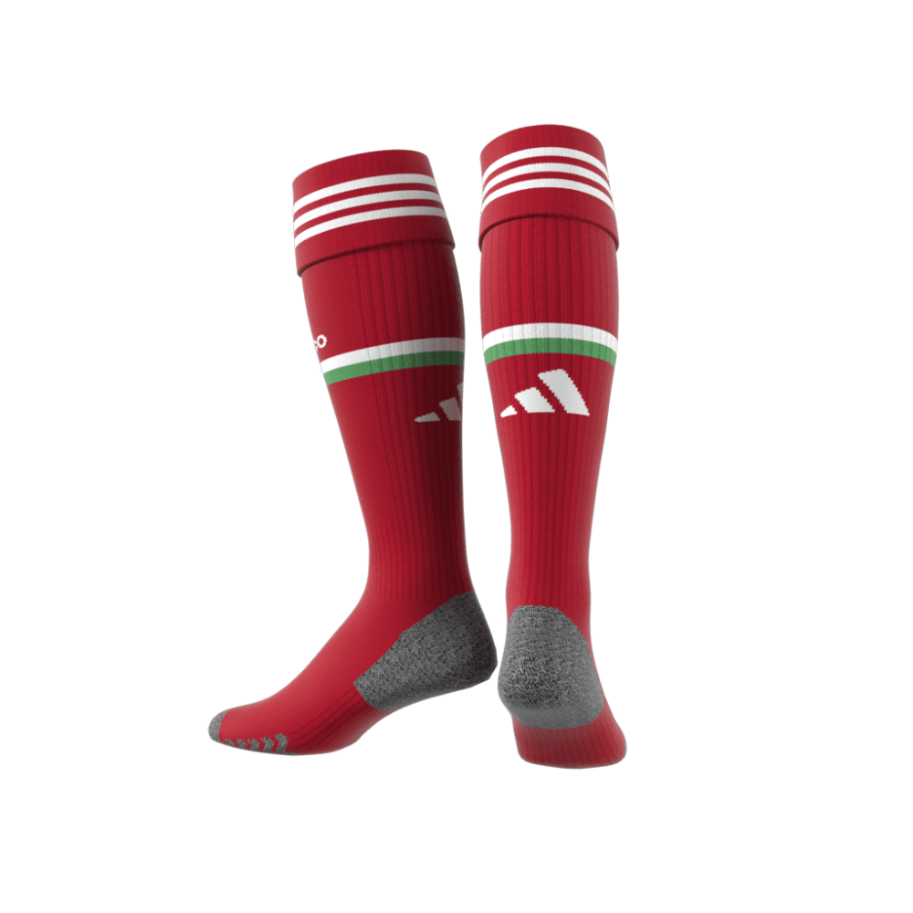 Mexico World Cup 2022 Home Replica Socks