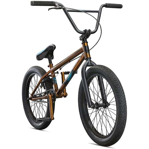 Legion L40 BMX Bike