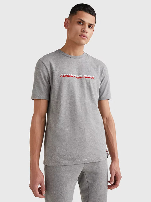 Mens Graphic Short Sleeve T-Shirt