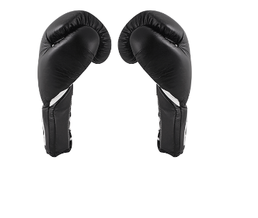 Official Boxing Gloves in cow Leather w/Thumb 8OZ